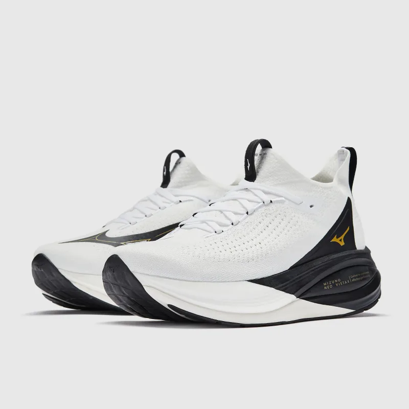 Mizuno Neo Vista 2