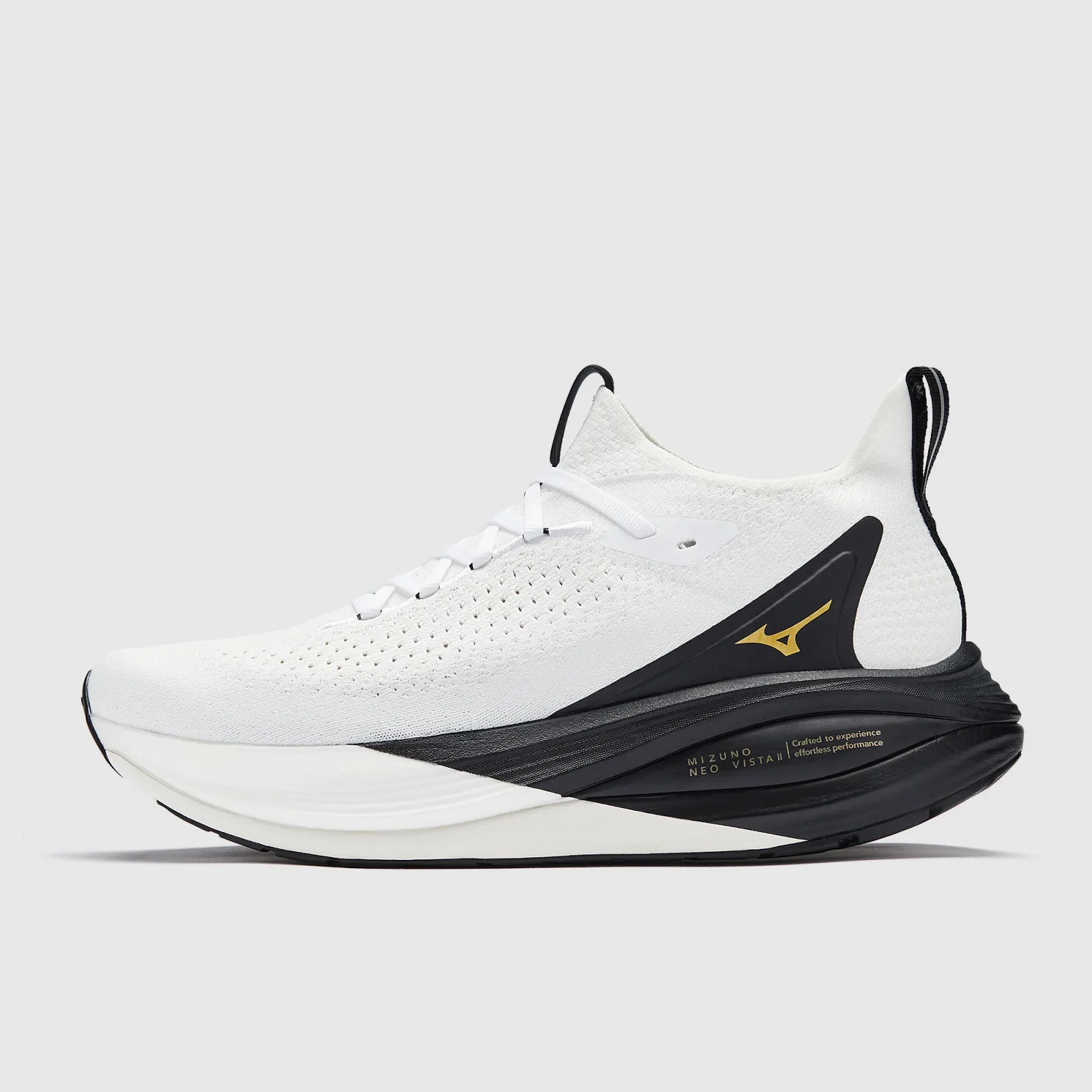 Mizuno Neo Vista 2