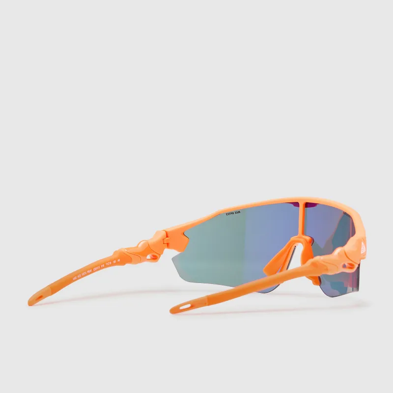 Nike ACG Vista Peak