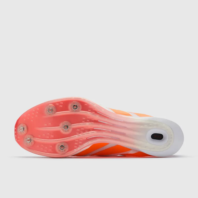 Image 22