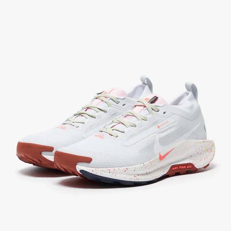 Nike Pegasus Trail 5 GORE-TEX - Pure Platinum/White