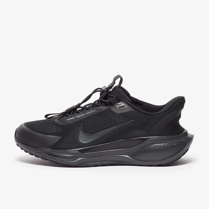 Nike Pegasus Easyon